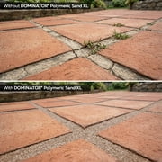 DOMINATOR XL 40 lbs. Camel Brown Polymeric Sand, Pro-Graded Paver Joint Sand