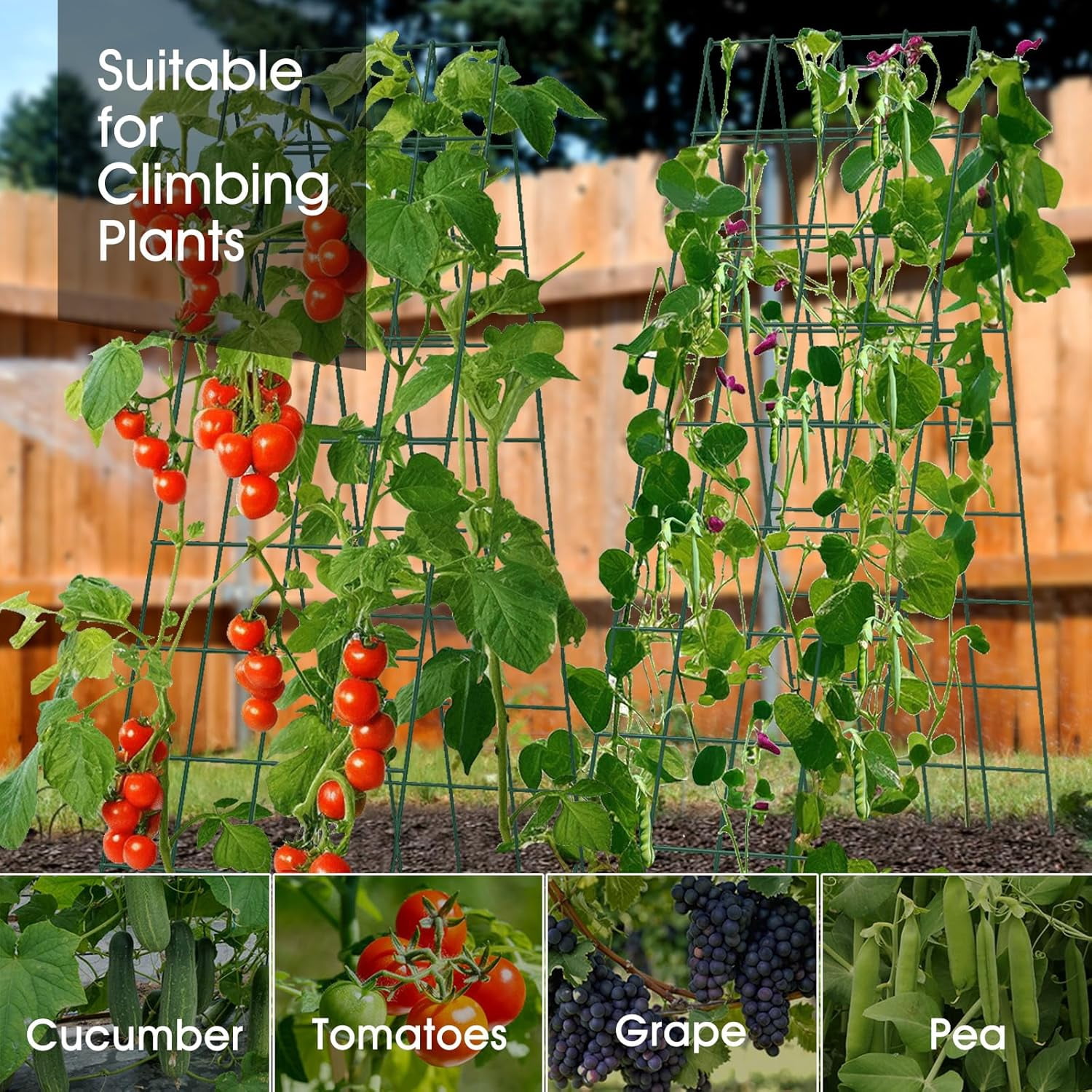 Cucumber Trellis for Raised Bed,  16.5 x 60 Inch Metal Trellis for Climbing Plants Outdoor with Plant Clips Twist Ties, Garden Plant A-Frame Trellis for Vegetable Pea Tomato (Green, 2 PCS)