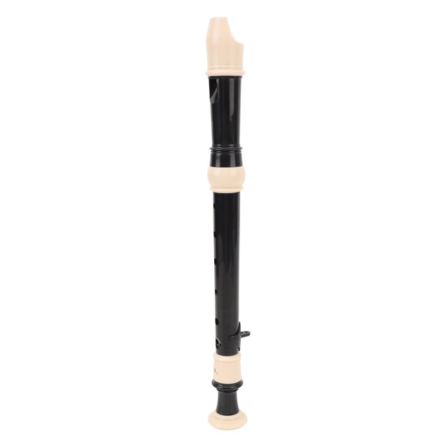 8 Hole Flute,Portable Detachable 8 Hole Soprano Recorder with Cleaning Rod for Beginners Kids Adults
