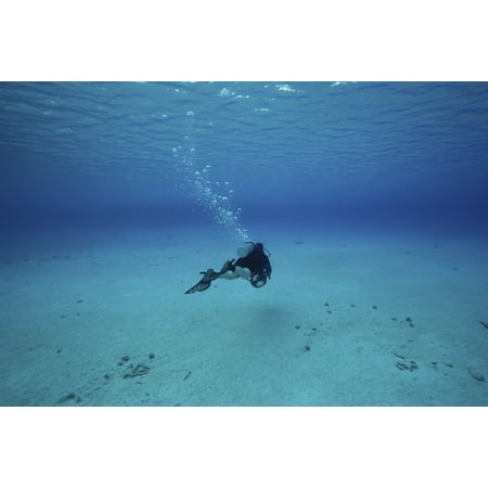Blue Water Netherlands - A diver on a scooter explores the clear blue waters of Toris Reef Bonaire Caribbean Netherlands Poster Print