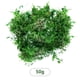 thumbnail image 2 of Musgo Artificial Para Plantas En Maceta, Musgo Verde, Decoración Del Hogar, Jardín De Hadas, Manualidades, Decoración De Bodas, Verde Fresco, 2 of 8