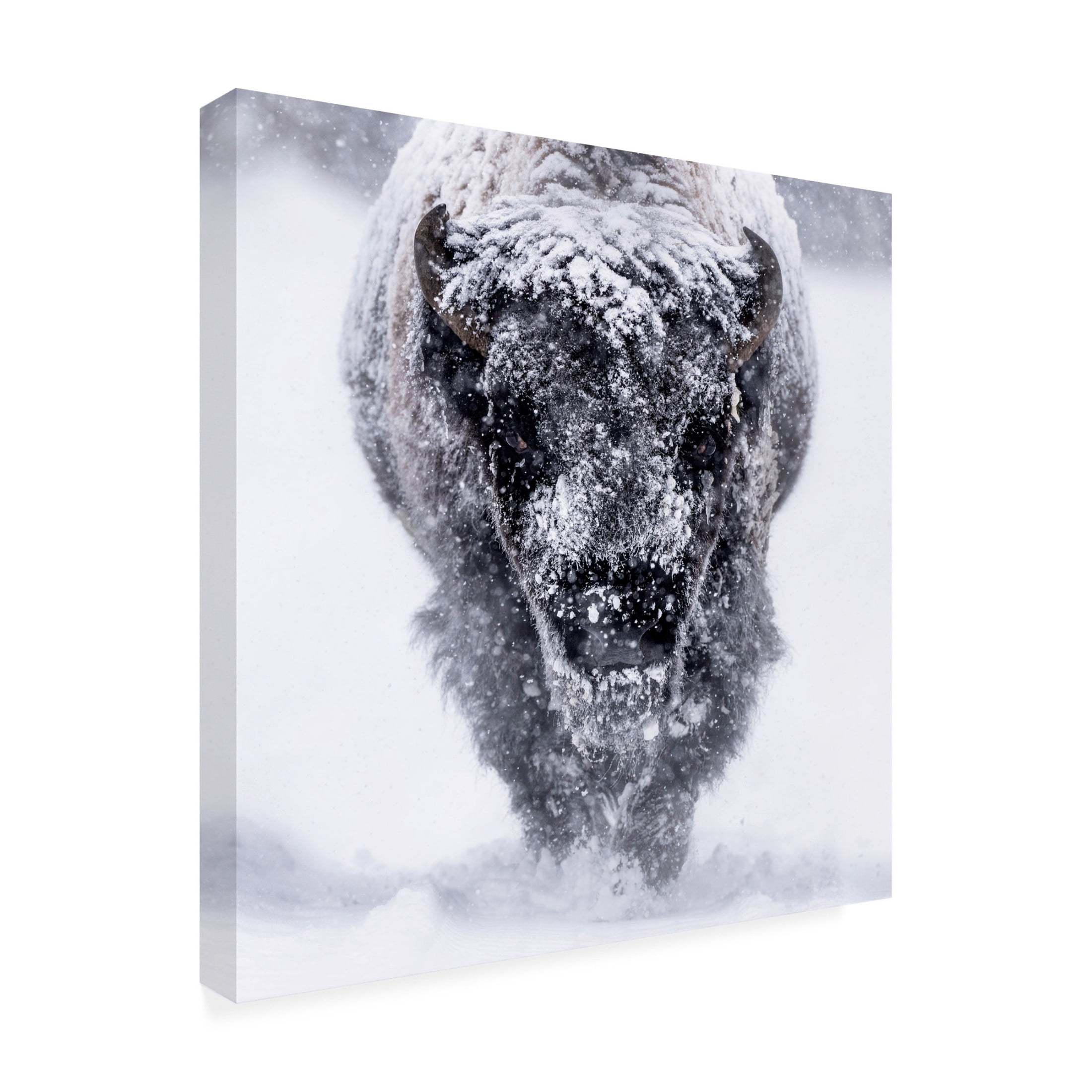 Trademark Fine Art Barbara Gill Headed. Your Way. Canvas Wall Art