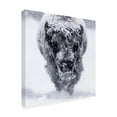 thumbnail image 4 of Trademark Fine Art Barbara Gill Headed. Your Way. Canvas Wall Art, 4 of 4