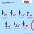 thumbnail image 2 of Correa de adiestramiento para perros HALTI multifuncional de doble punta, 2 m, 2 of 4