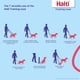 thumbnail image 2 of Correa de adiestramiento para perros HALTI multifuncional de doble punta, 2 m, 2 of 4