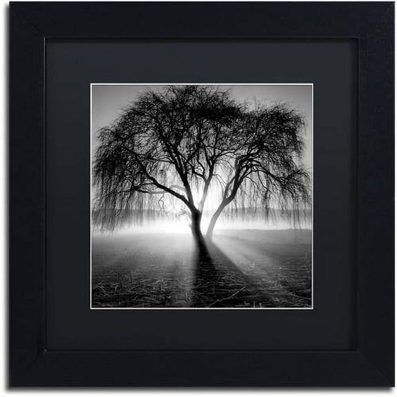 Moises Levy Lightning Tree I Matted Framed Wall Art