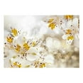 thumbnail image 3 of Tiptophomedecor Floral Wallpaper Wall Mural - Sunny Alstroemeria, 3 of 4