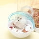 thumbnail image 3 of Greeniant Bañera para hámster, fácil de cuidar, Adorable, hecha de ABS, casa transpirable para hámsteres, tamaño compacto Suministros de alimentación y agua para mascotas verde, 3 of 6