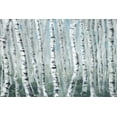 thumbnail image 2 of Parvez Taj "Skinny Tree Trunks II" Painting Print on Wrapped Canvas, 2 of 7