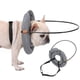 thumbnail image 1 of Blind Dog Harness Guiding Device Dog Bumpe for Small Medium Large Dogs Protective Blind Dog Pet Ant-Yvan 26-27s, 1 of 5
