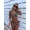 Black Leopard Print, variant on 2pcs Women Black & Hot Pink Trim Tie Side Bikini Set for Beach Vacation Summer Swimwear