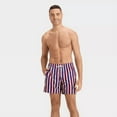 thumbnail image 3 of Men's Great American Summer Striped Swim Trunks 6" Inseam Size XXL Goodfellow & Co, 3 of 3