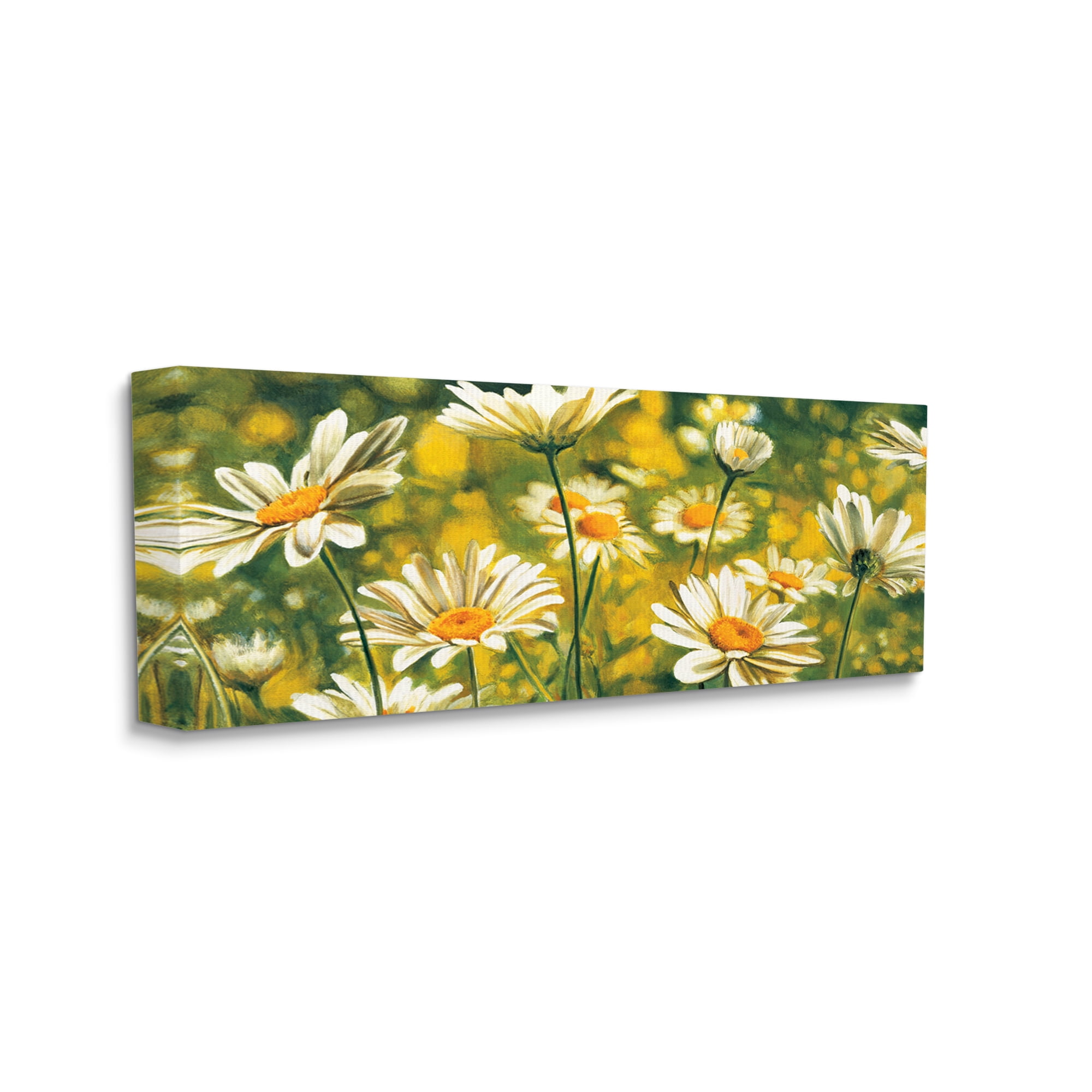 Stupell Wild Daisies Blooming Nature Garden Botanical & Floral Painting Gallery Wrapped Canvas Print Wall Art