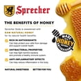 thumbnail image 5 of (Pack Of 36) Sprecher Soda Cherry Cola 16 Fo, 5 of 9