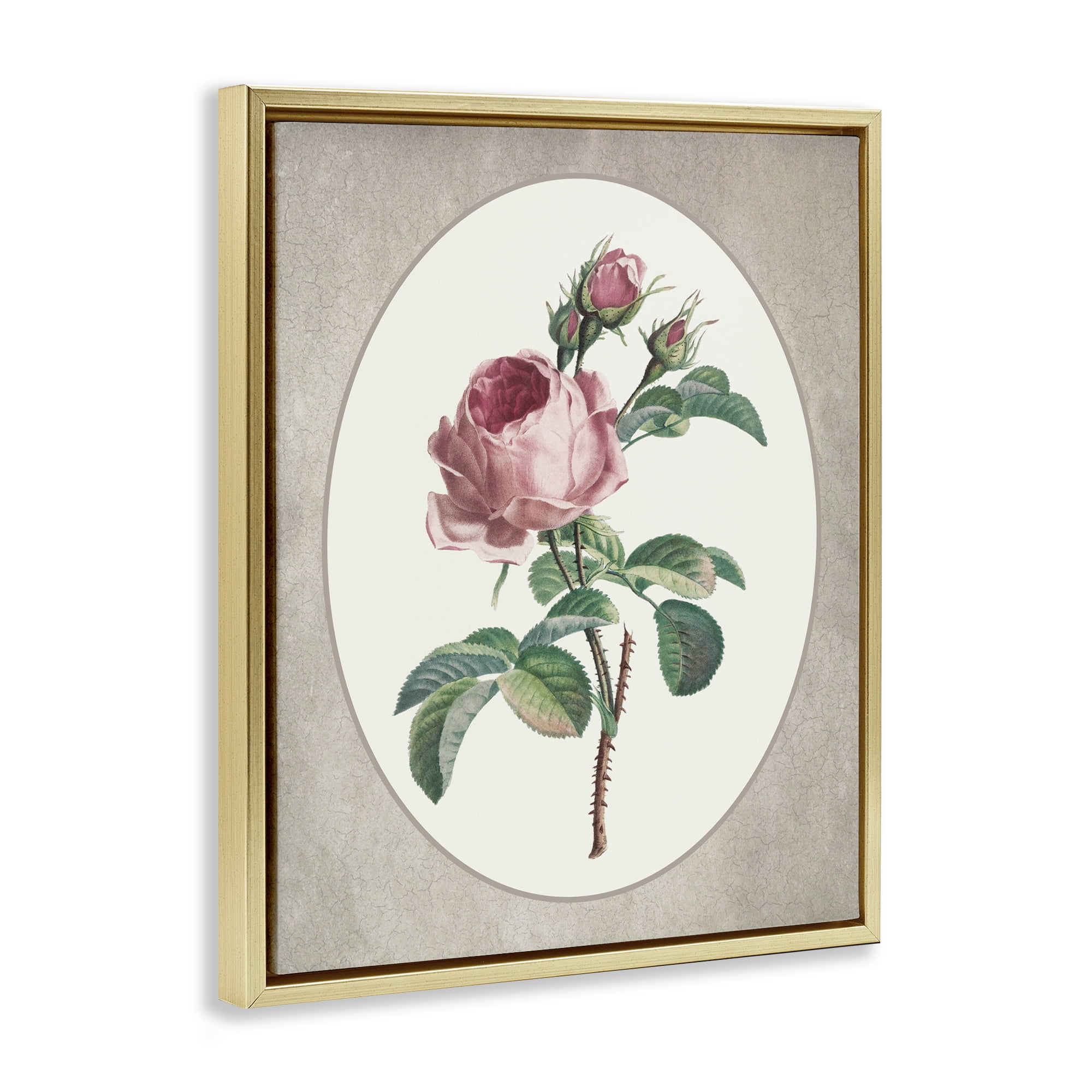 Vintage Rose within Oval Gold Framed Floater Canvas Wall Art, design by Lettered and Lined