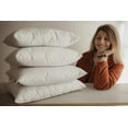 thumbnail image 2 of Down Alternative Hypoallergenic Pillow Insert Cotton Cover | 18x18 | 20x20 | 22x22 | Throw Pillow, 2 of 7