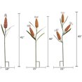 thumbnail image 4 of Metal Corn Garden Stakes Fall Decor Harvest Thanksgiving Halloween Autumn Outdoor Decoration Set of 3, 4 of 4