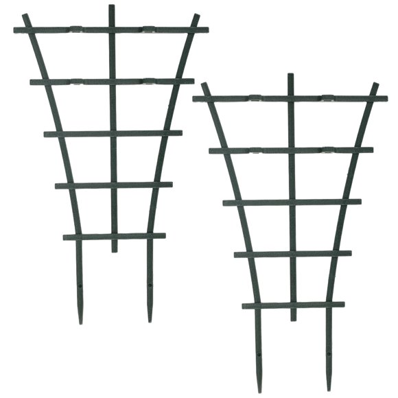 plantclimbingtrellis
