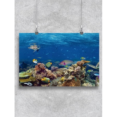 Coral Reef Poster -Image by Shutterstock