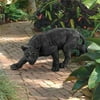 Design Toscano KY71174 Shadowed Predator Black Panther Statue: Medium