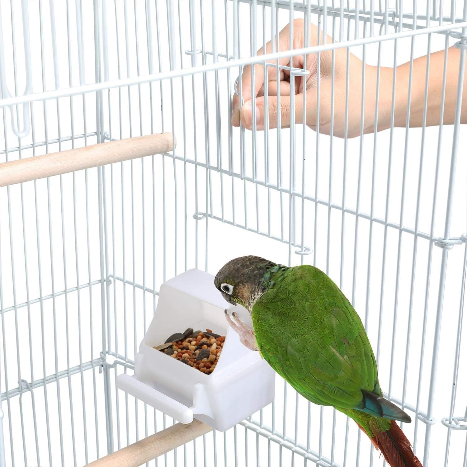 41'' Open Top Medium Size Quaker Parrot Bird Cage Cockatiel Indian Ring Neck Sun Parakeet Green Cheek Conures Lovebird Budgie Canary Finch Parrotlet Bird Cage, White