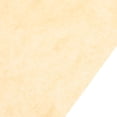 thumbnail image 3 of unbranded Antigrasa Para Cocina Y Eventos Descartable Color Khaki Para Snacks Y, 3 of 6
