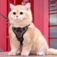 thumbnail image 2 of Dog Harness Vest Reflective Vest Style Harness and Leash Escape Proof Breathable Pet Chest Vest Walking Leash for & Small Medium Dogs Adjustable Pet Harness Walking Control Vest Pet Gear, 2 of 8