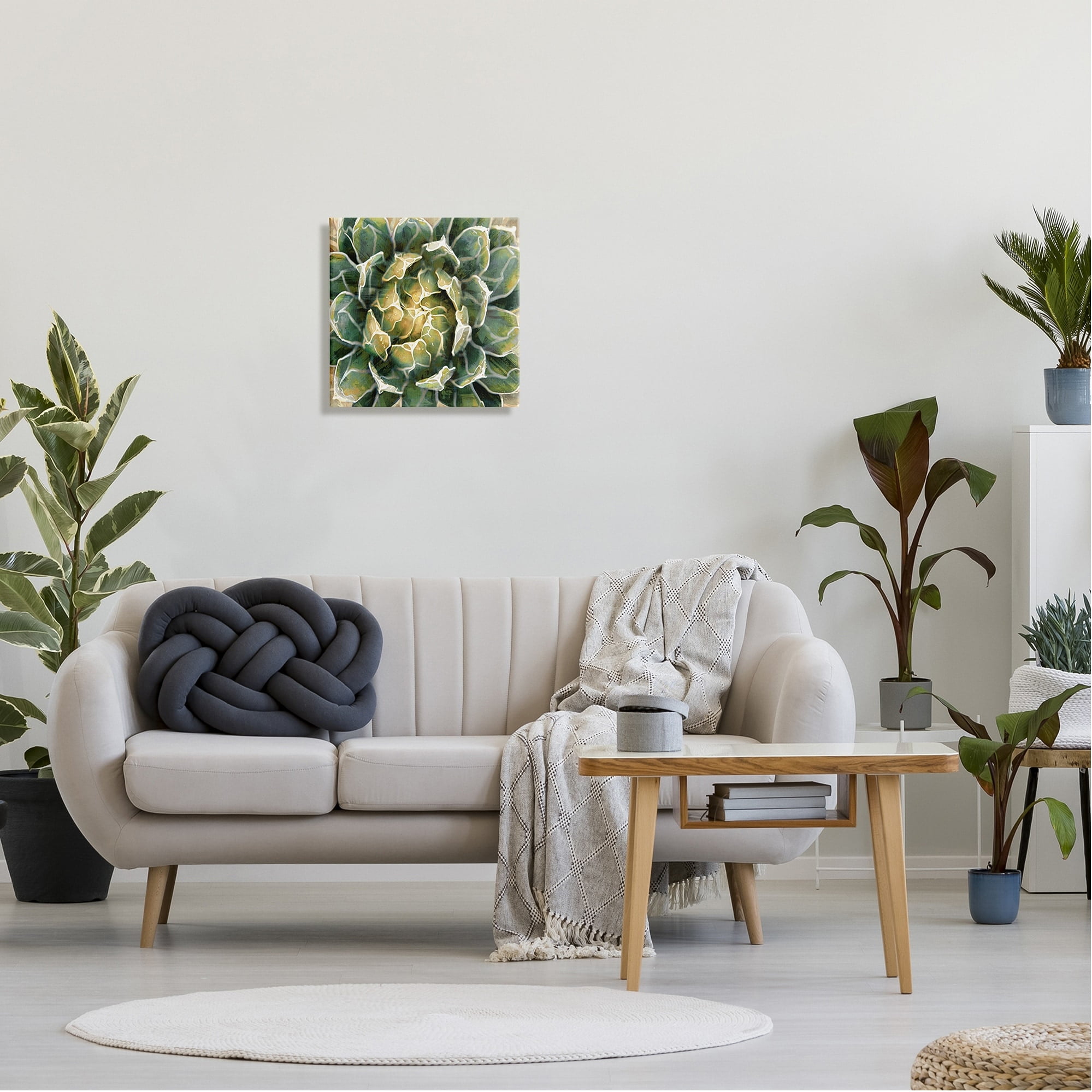 Stupell Industries Leafy Succulent Plant Nature Botanical & Floral Painting Gallery Wrapped Canvas Print Wall Art