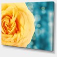 thumbnail image 2 of Rose Flower with Lit up Background - Large Floral Canvas Artwork, 2 of 4
