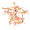 thumbnail image 2 of 12 Unidades Mini Ballet Niña Baby Shower Favors Party De BlackGree, 2 of 7