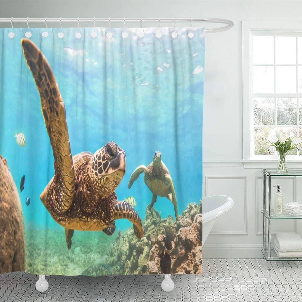 SUTTOM Hawaiian Green Sea Turtle Cruising in The Warm Waters Shower