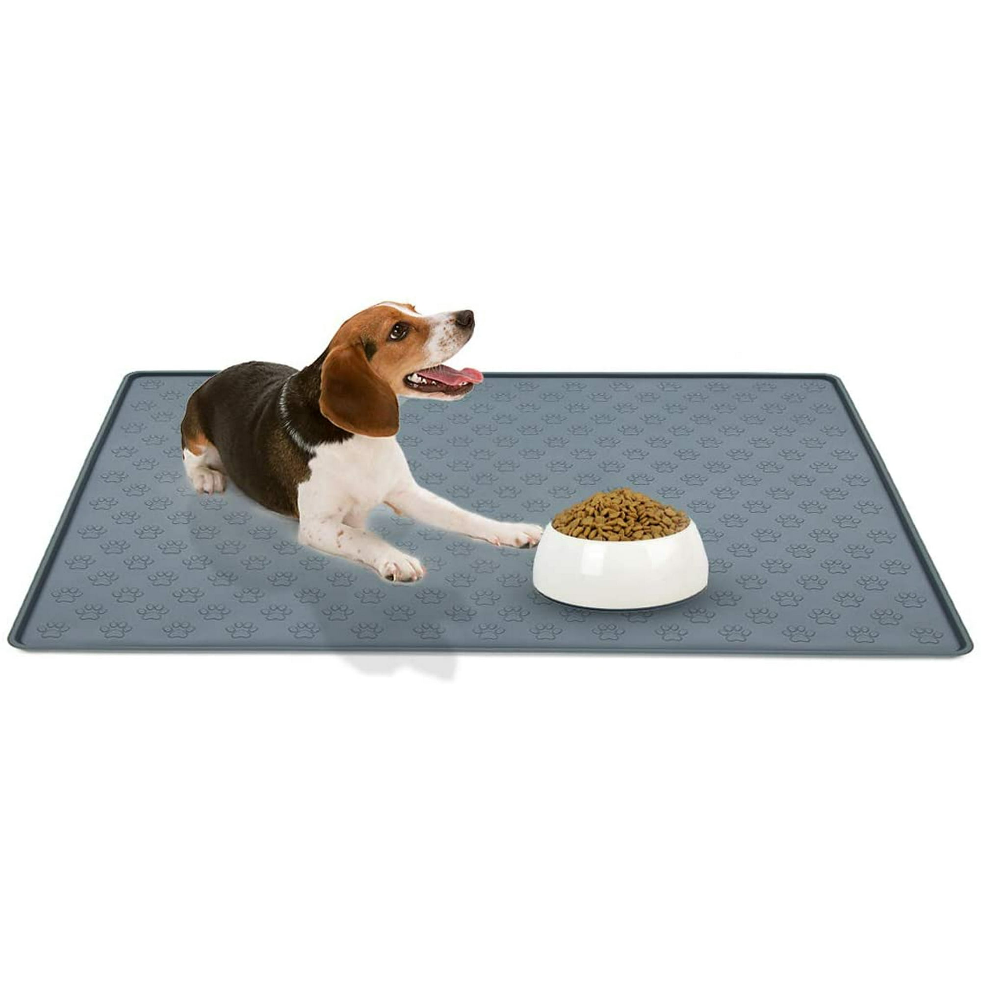 How Can I Protect My Dogs Floor