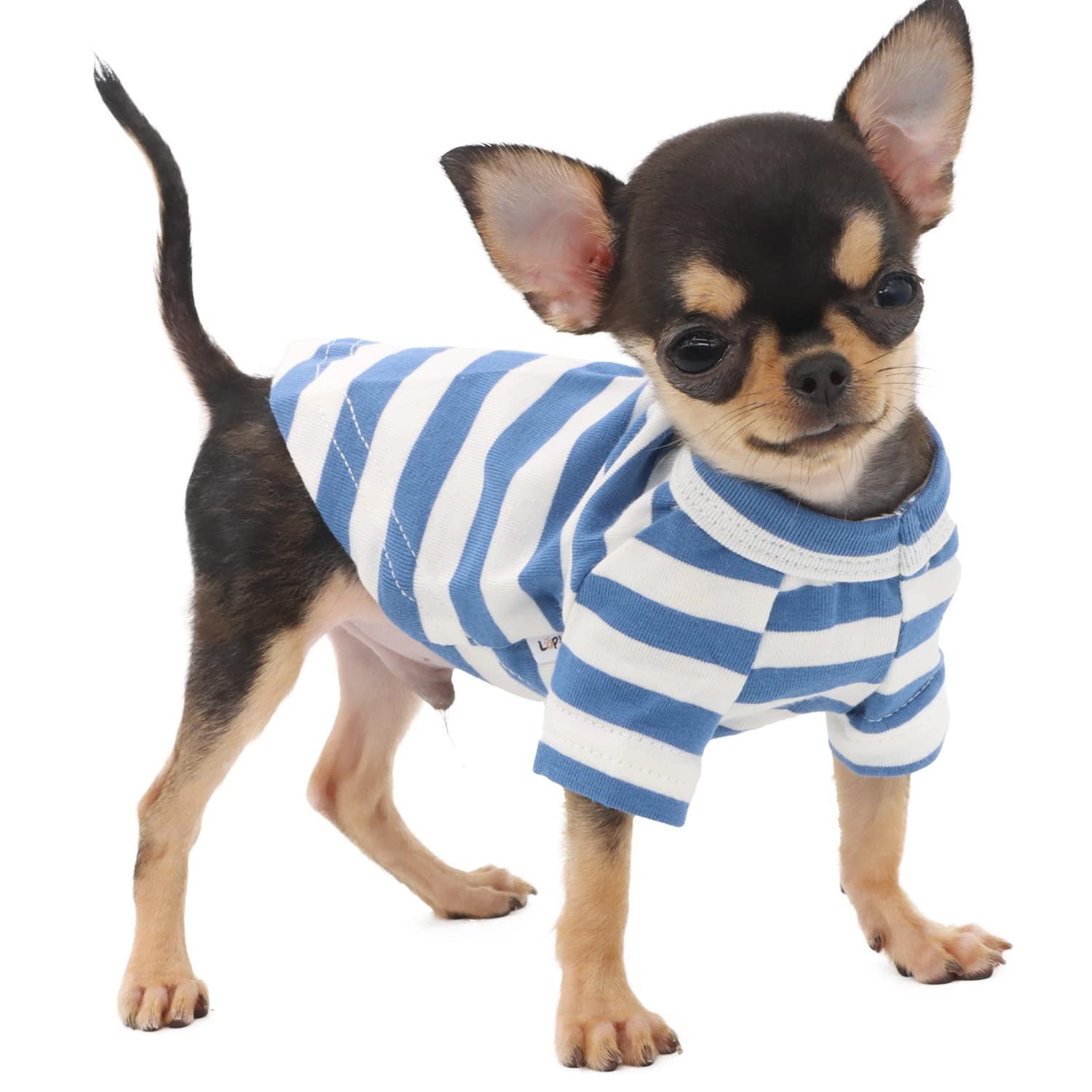  SZAT PRO Striped Teacup Pet Dog T-Shirts, 100% Cotton Tank  Vest for Small Dogs and Cats, Sleeveless Puppy Clothes for Chihuahua Yorkie  Purple,X-Small : Pet Supplies