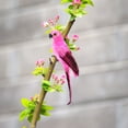 thumbnail image 6 of Yucurem Foam Feather Artificial Parrot Imitation Bird Model Ornament (Rose Red), 6 of 9