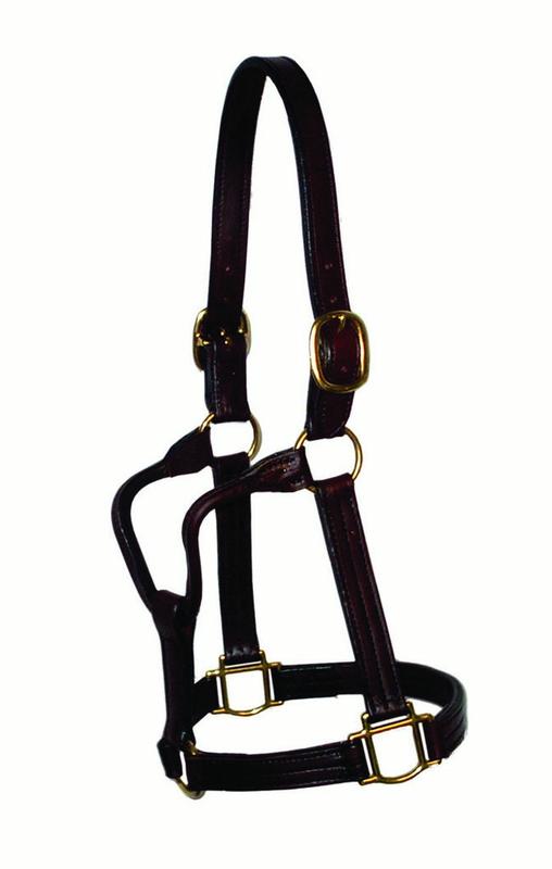 Berlin Custom Leather Halter Throat Latch Large Horse Mahogany TB8