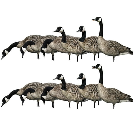Avian X AXP Honkers Full Body Fusion Pack Realistic Goose Decoys (12 Pack)
