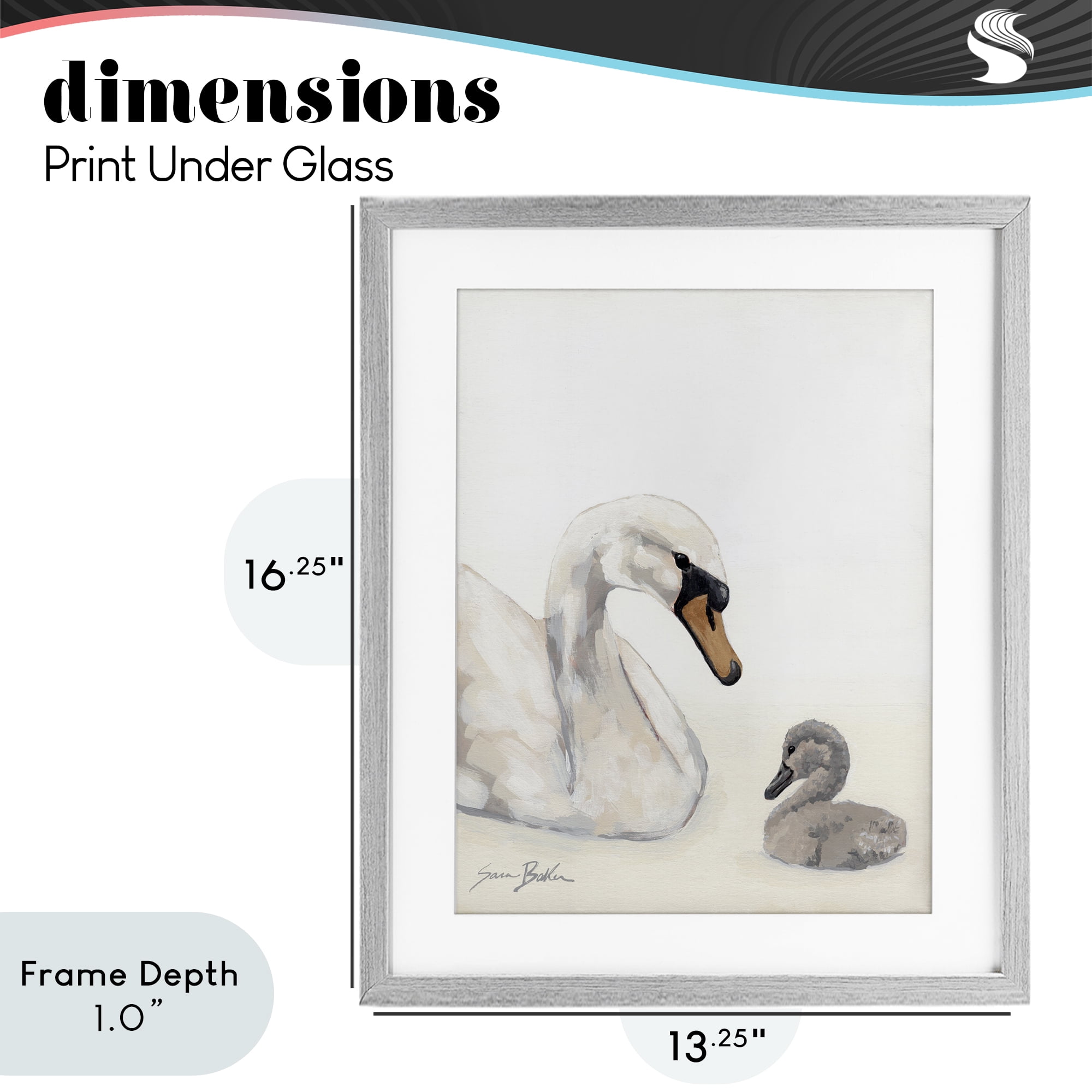 Stupell Industries Mother Swan & Cygnet Gray Framed Print Under Glass, design by Sara Baker