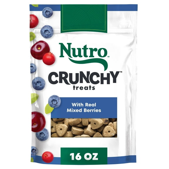 Nutro Crunchy Dog Treats With Real Mixed Berries, 16 oz. Bag