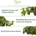 thumbnail image 3 of Nearly Natural Plastic 15" Pothos Artificial Plant with Ledge Basket, Green, 3 of 4