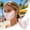 C, variant on 3 Pcs Sun Protection Face Mask for Women Outdoor Sports, UPF 50 Plus Blocks 98 Percent UVA UVB Rays, Washable Reusable UV Face Mask for Hiking and Gardening, Sun Care