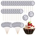 thumbnail image 1 of Cupcake Toppers Aysatogc, voleibol, paquete de 40, fiesta de cumpleaños, 1 of 7