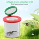 thumbnail image 5 of Lupa cilíndrica para niños con caja de insectos araña sobre orugas (roja) Likrtyny Para estrenar, 5 of 7