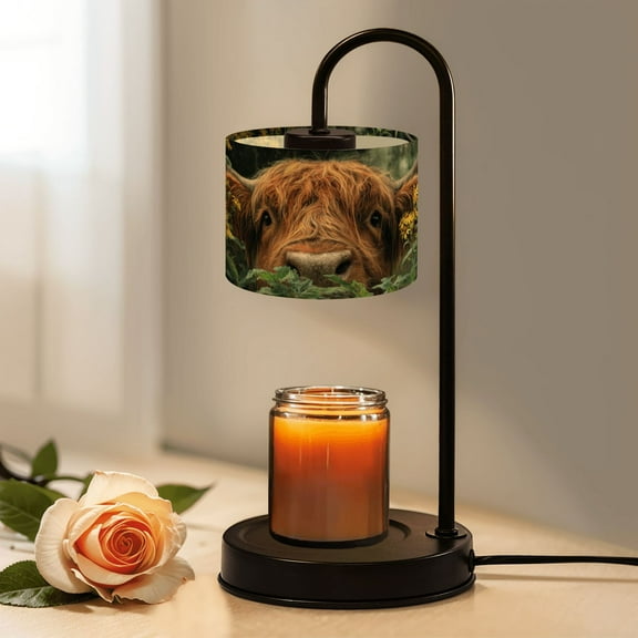 Candle Warmer Lamp with Timer, Highland Cow Western Rustic Farmhouse Flowing Fur Non-slip Wireless Remote Control Wax Melts Warmer with 4 Bulbs for Home Office Dorm, Birthday Gifts for Women