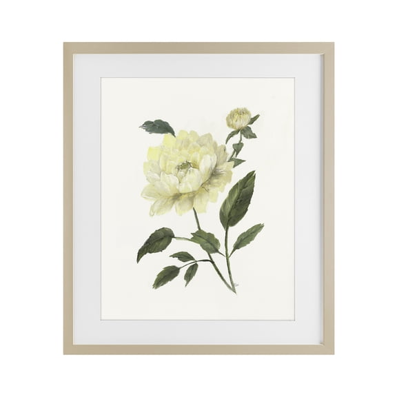 Stupell Industries Cream Garden Peony with Buds Birch Framed Print Under Glass, design by Nan