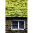 thumbnail image 2 of Posterazzi DPI1830192 Cottage with Grass Growing On Roof Poster Print by John Short, 11 x 17, 2 of 4