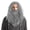 Gray, variant on Joyfy Men's Grey Wizard Wig with Beard for Adults - Father Time Halloween Costume Accessory for Cosplay Party
