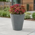 thumbnail image 2 of Algreen Olympus 16" Self-Watering Planter, Warm Grey Resin, 2 of 6