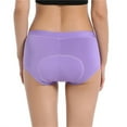 thumbnail image 5 of Cqxid525 Clothing 3D Breathable Panties Chevaroo Padded Underwear Chevaroo Underwear Chevaroo Underwear for Women, 5 of 9