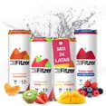 thumbnail image 1 of FITZER Agua Mineral con Alcohol Destilado y Sabor Natural - 24 Latas de 355 ml - Mix Pack, 1 of 7