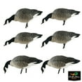 thumbnail image 5 of Avian-X AXP Lesser Canada Goose Decoy, 5 of 5